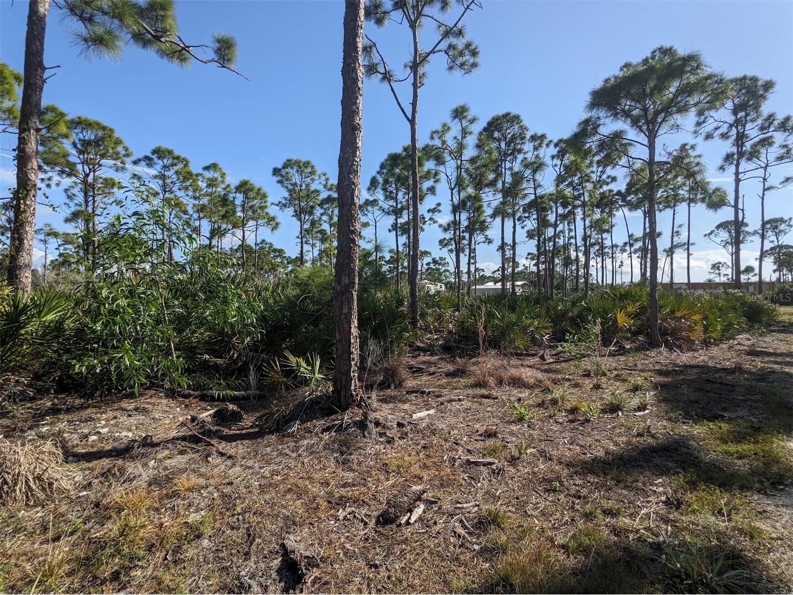 4159 Sunshine Boulevard Saint James City FL 33956 C7523454 image6