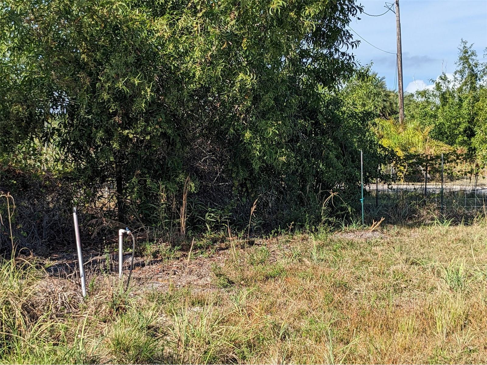 4159 Sunshine Boulevard Saint James City FL 33956 C7523454 image8