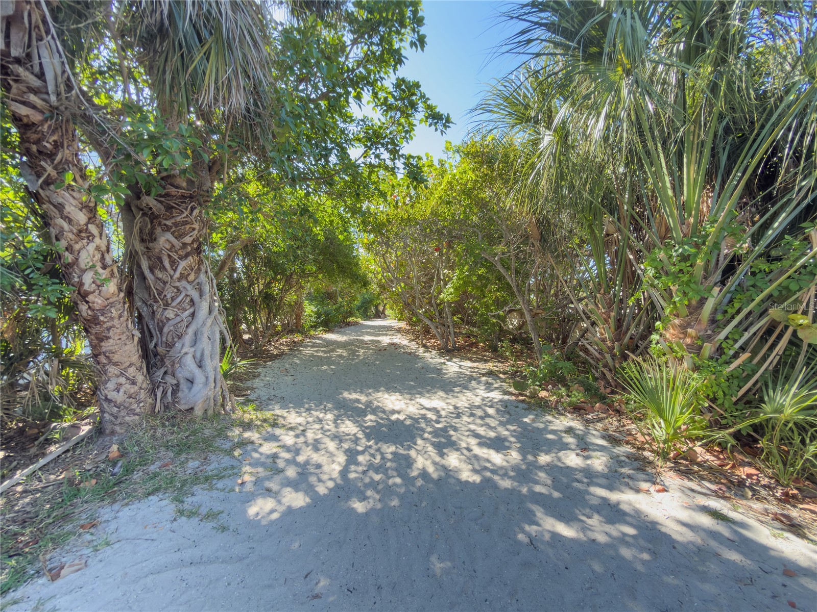 416 Alamanda Road Anna Maria FL 34216 - GULF OF MEXICO A4690578 image95