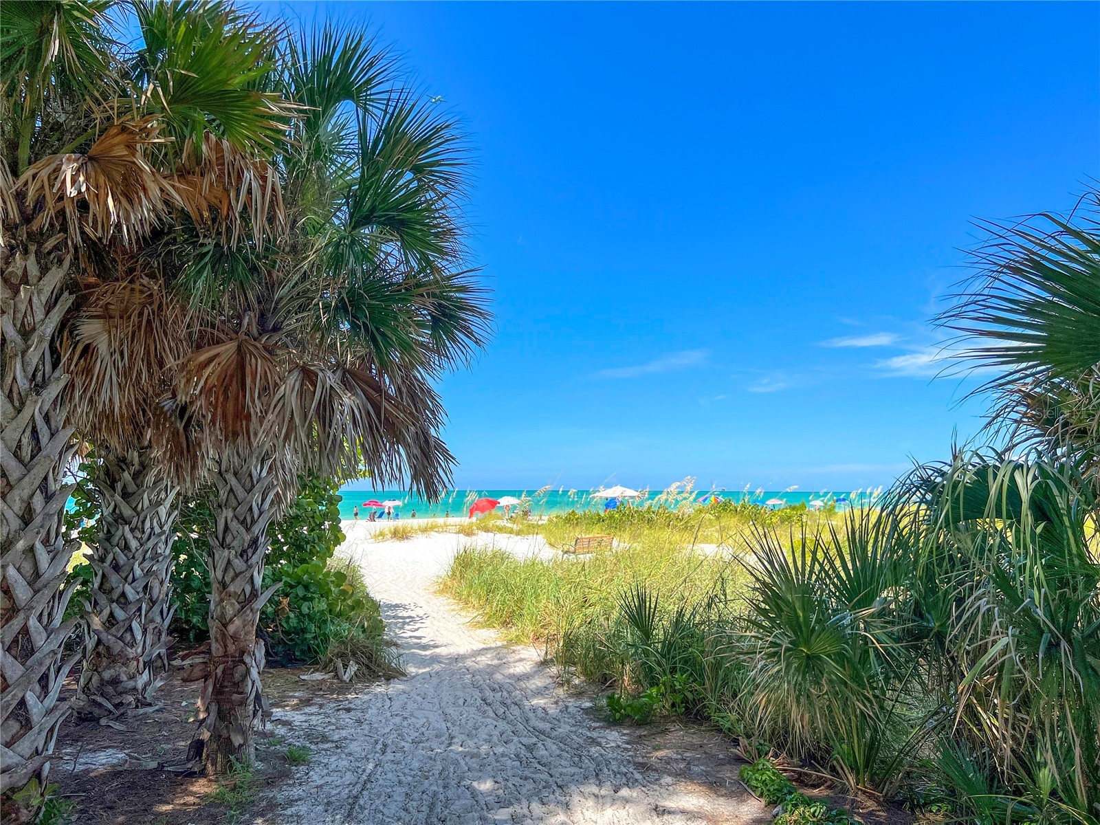 416 Alamanda Road Anna Maria FL 34216 - GULF OF MEXICO A4690578 image97