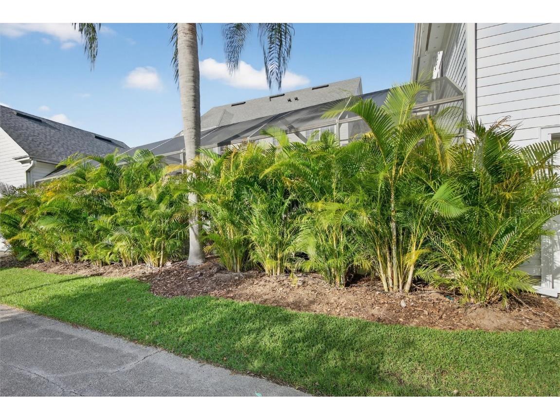 416 Arbor Circle Celebration FL 34747 S5138513 image77