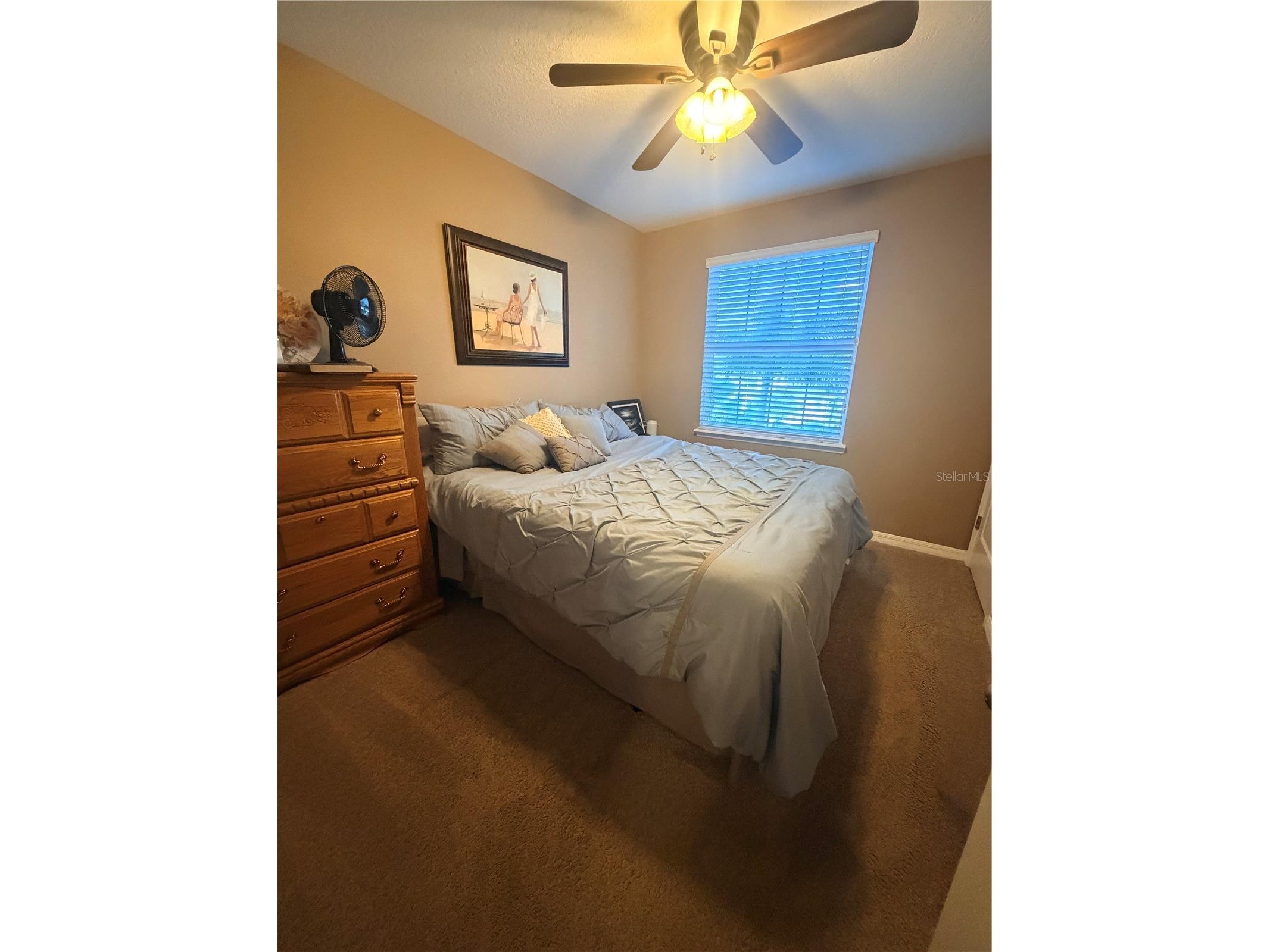 416 Bahama Grande Boulevard Apollo Beach FL 33572 TB8514081 image17