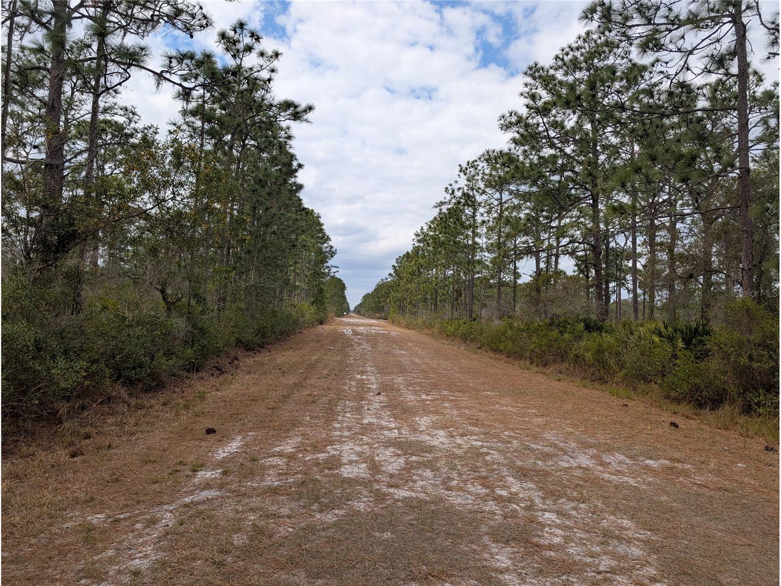 416 Bougainville Drive Indian Lake Estates FL 33855 - LAKE WALK-IN-WATER P4937983 image1