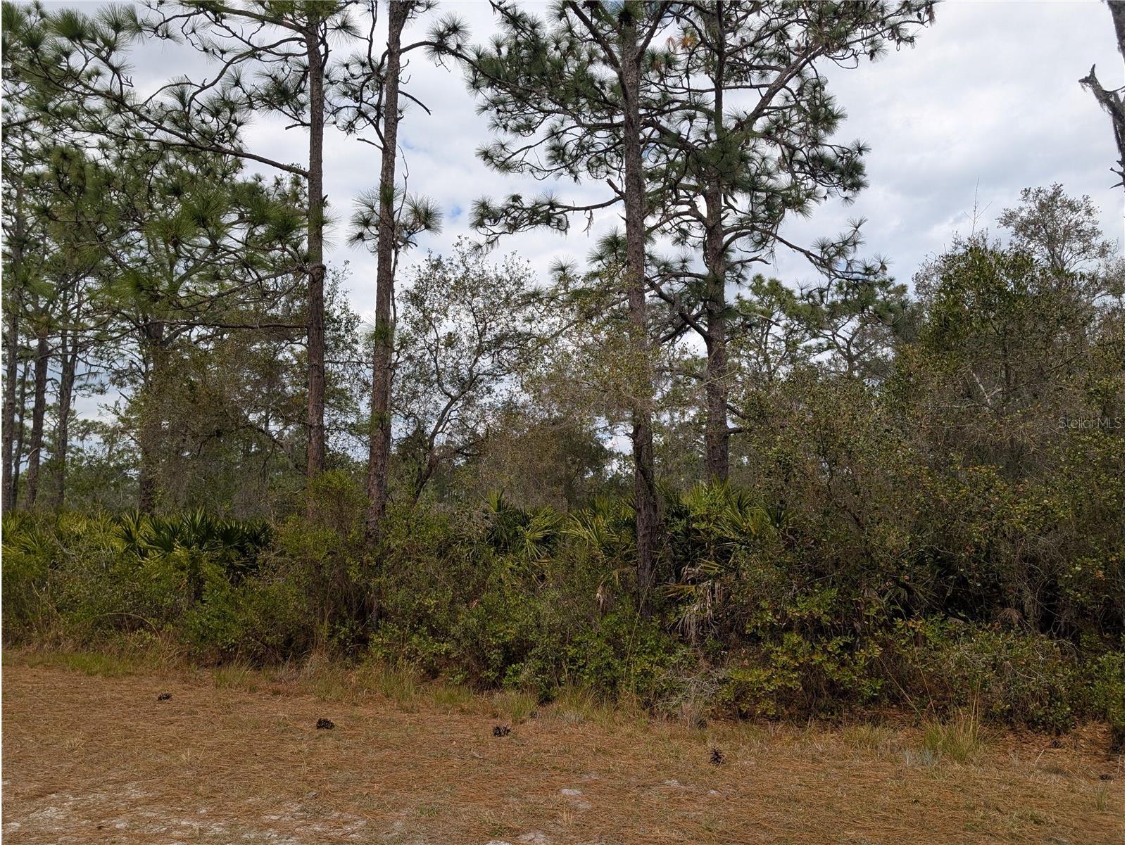 416 Bougainville Drive Indian Lake Estates FL 33855 - LAKE WALK-IN-WATER P4937983 image2