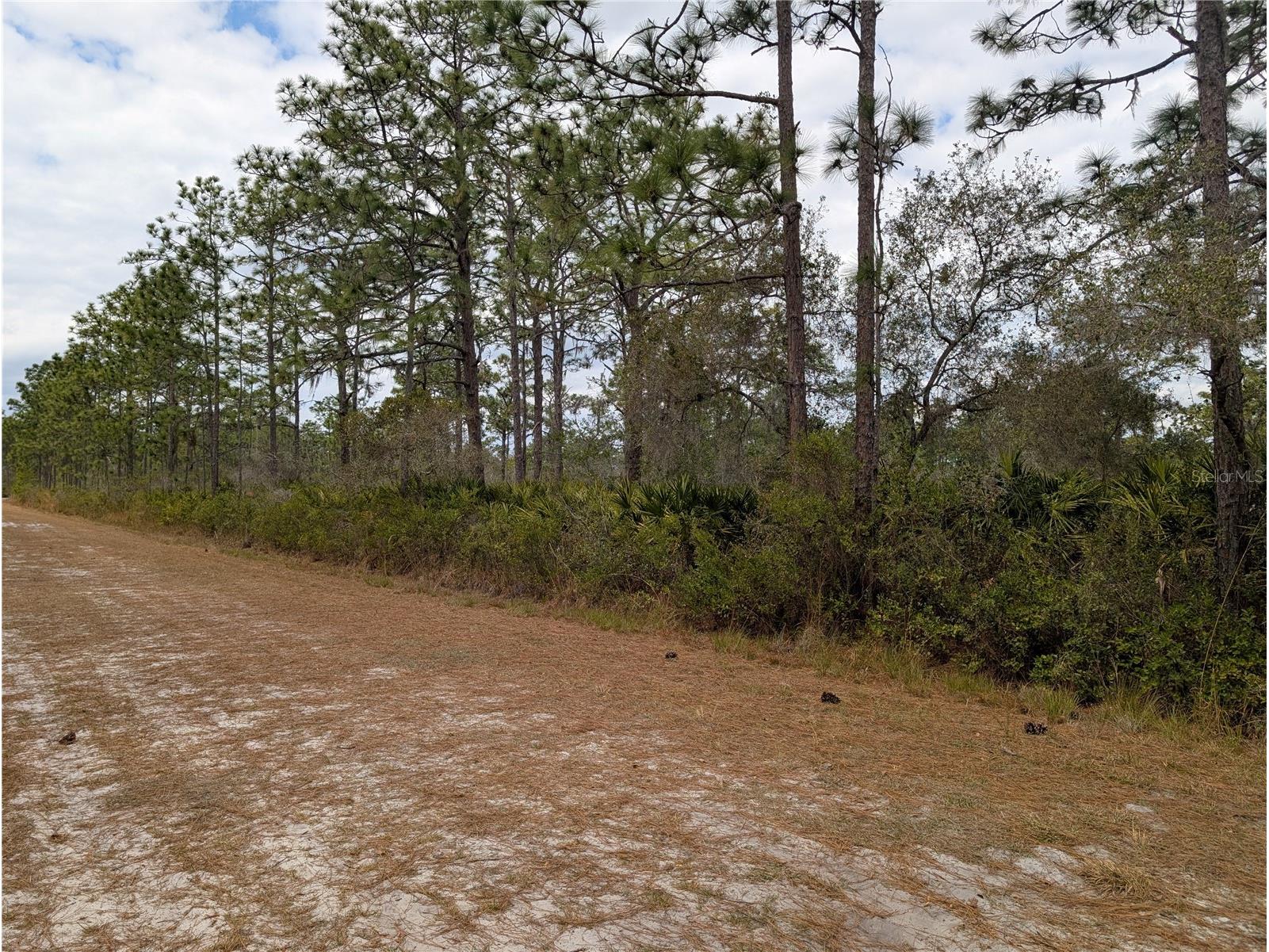 416 Bougainville Drive Indian Lake Estates FL 33855 - LAKE WALK-IN-WATER P4937983 image4