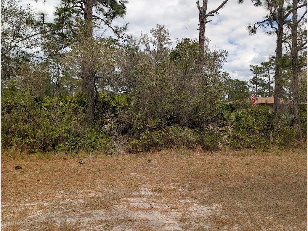 416 Bougainville Drive Indian Lake Estates FL 33855 - LAKE WALK-IN-WATER P4937983 image5