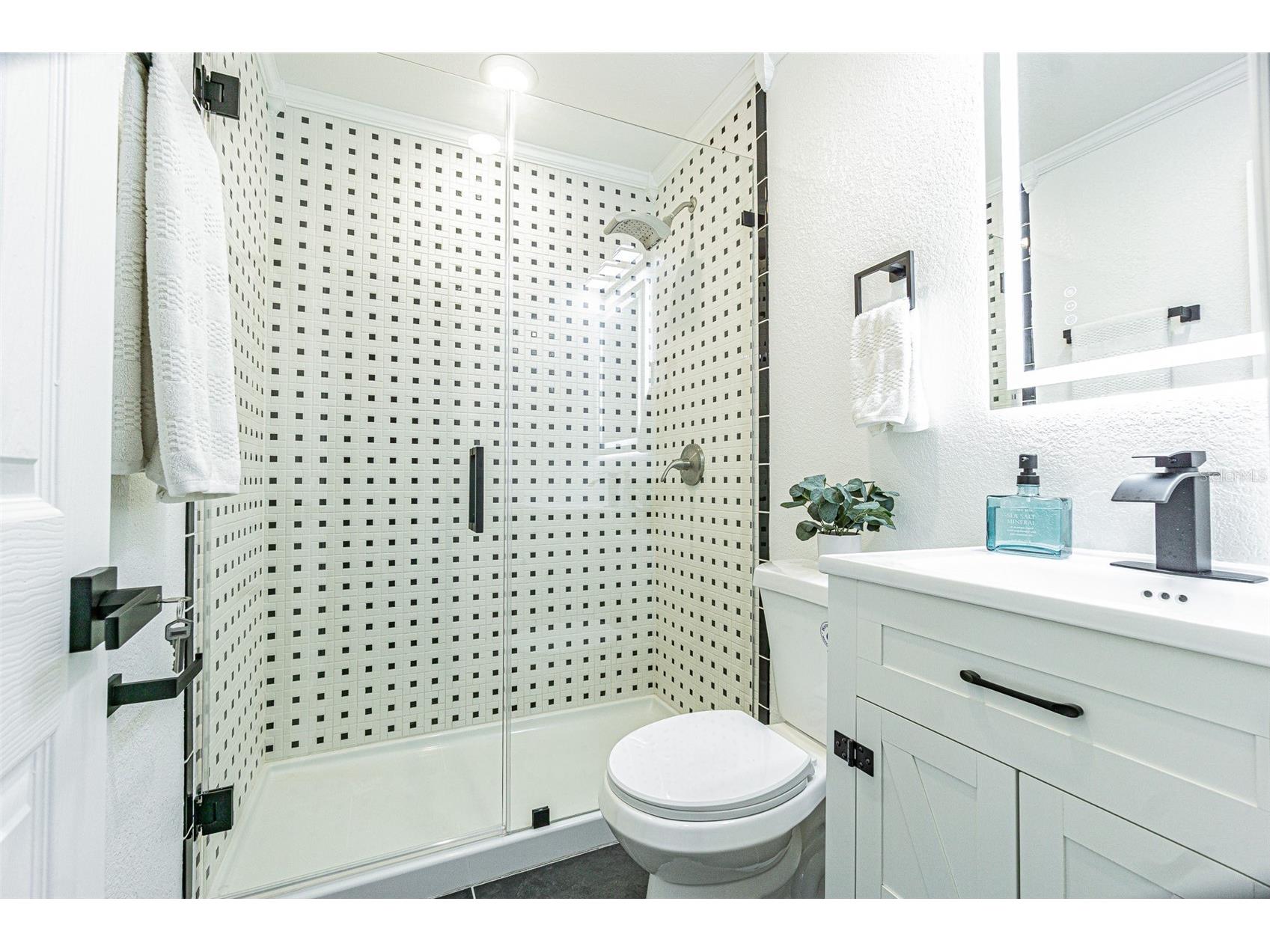 416 Country Club Drive Oldsmar FL 34677 TB8475710 image14