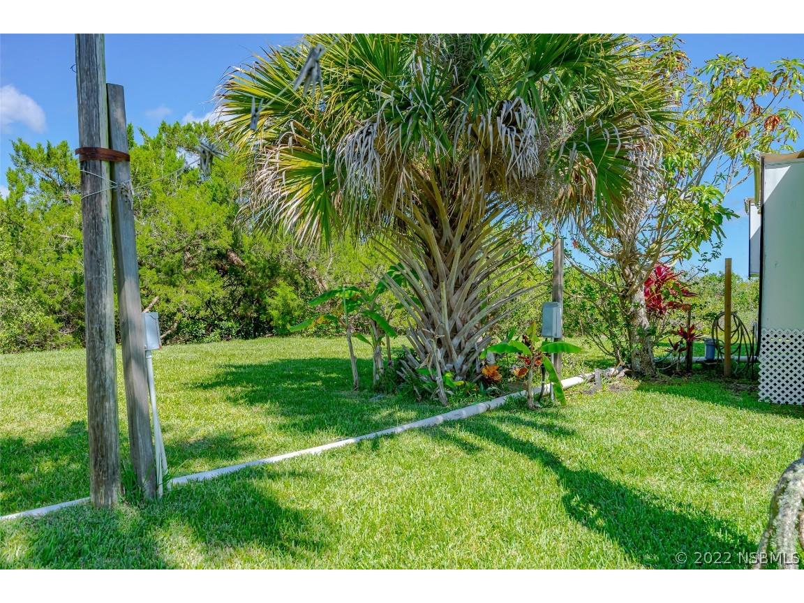 416 E Halifax Avenue Oak Hill FL 32759 NS1069081 image21