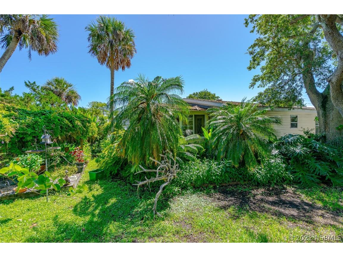416 E Halifax Avenue Oak Hill FL 32759 NS1070491 image4