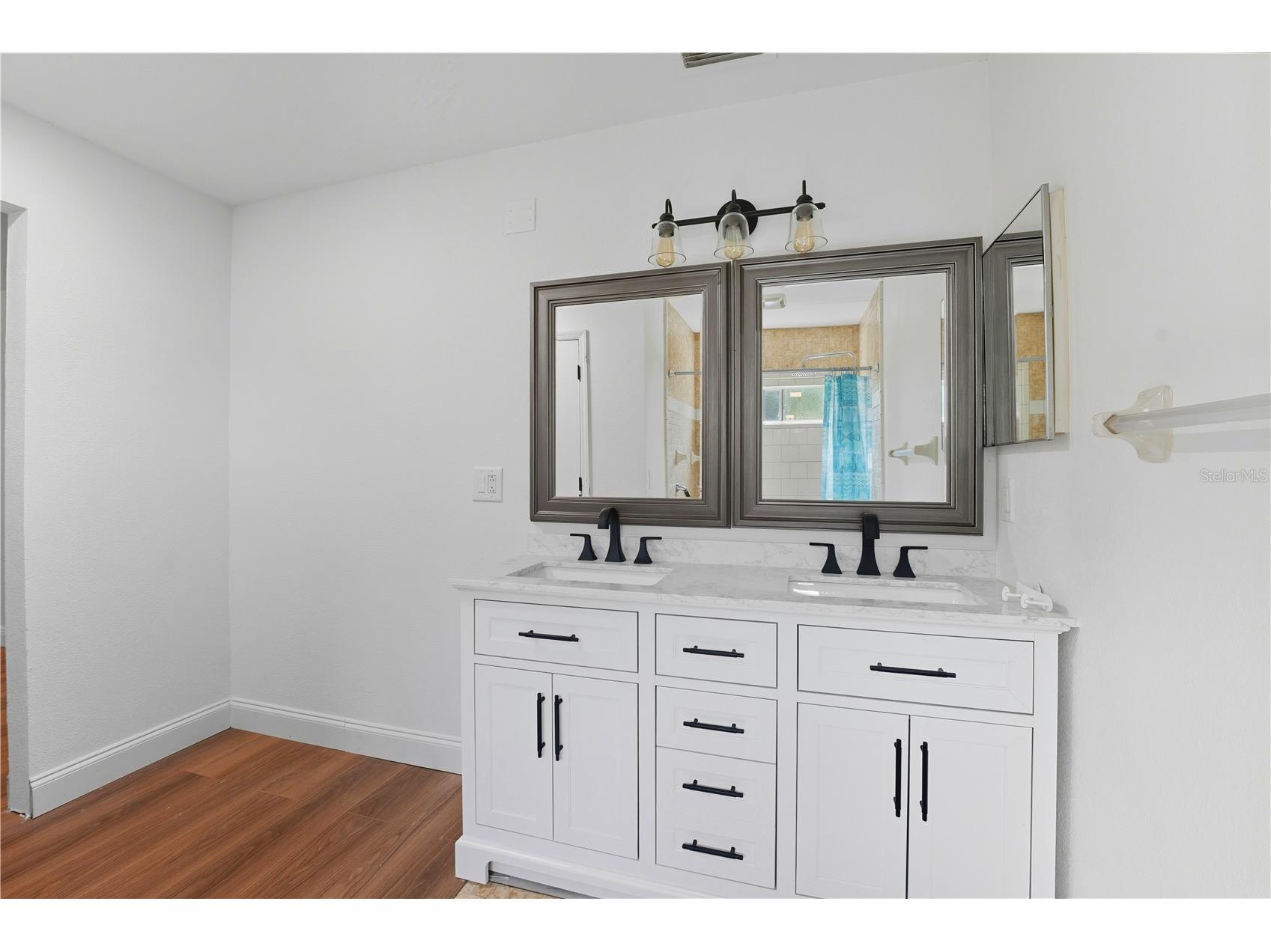 416 Haverlake Circle Apopka FL 32712 O6401399 image13