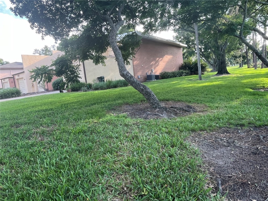 416 Howard Avenue #D Lakeland FL 33815 S5128068 image10