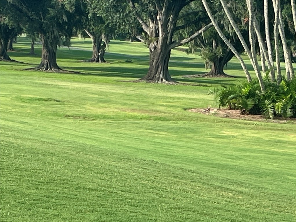 416 Howard Avenue #D Lakeland FL 33815 S5128068 image6