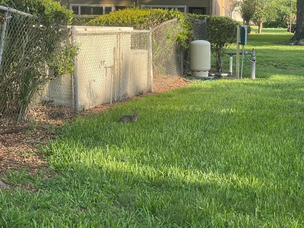 416 Howard Avenue #D Lakeland FL 33815 S5128068 image67