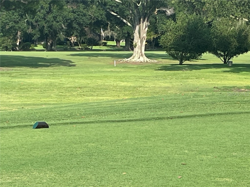 416 Howard Avenue #D Lakeland FL 33815 S5128068 image7