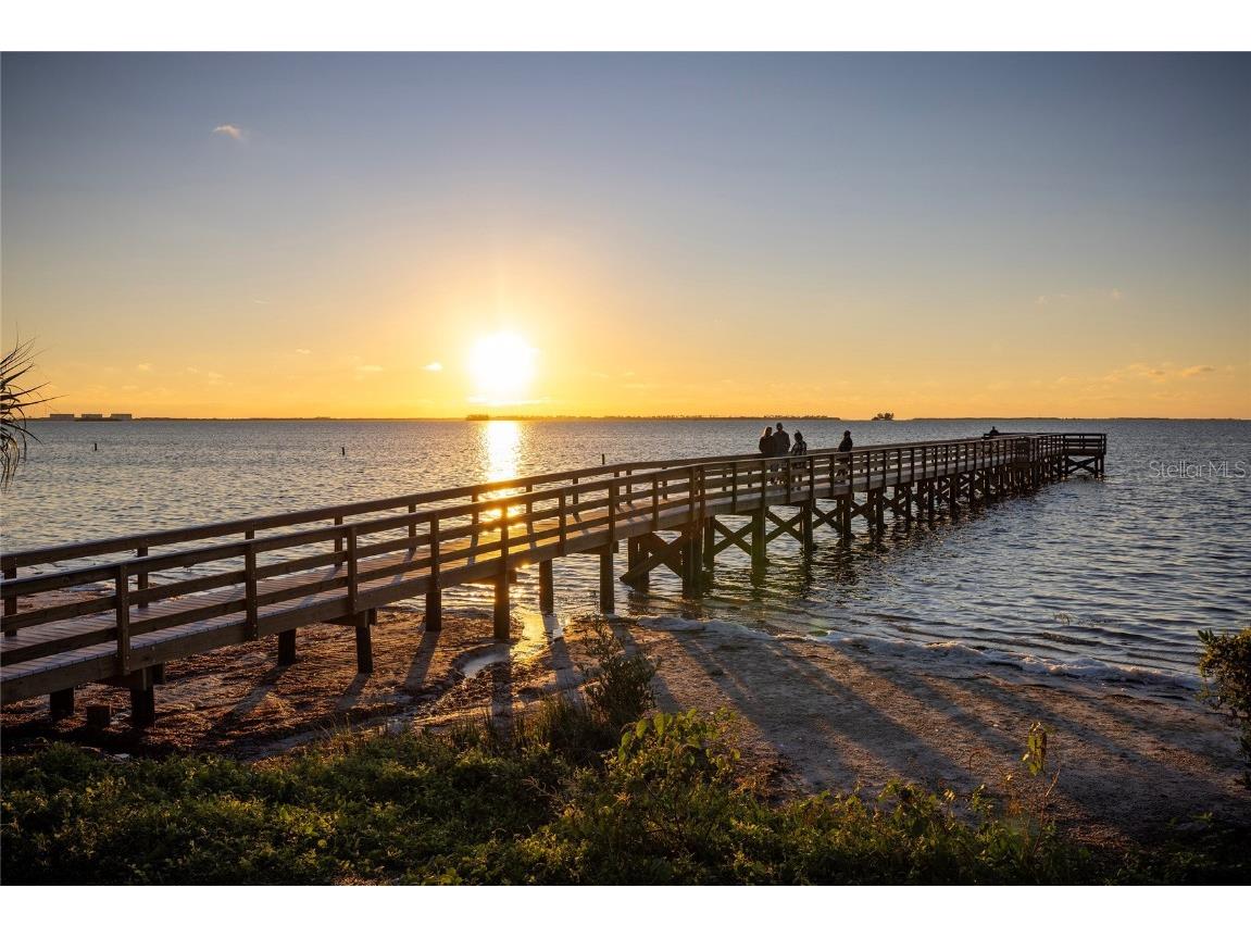 416 Indiana Avenue Crystal Beach FL 34681 TB8455037 image53