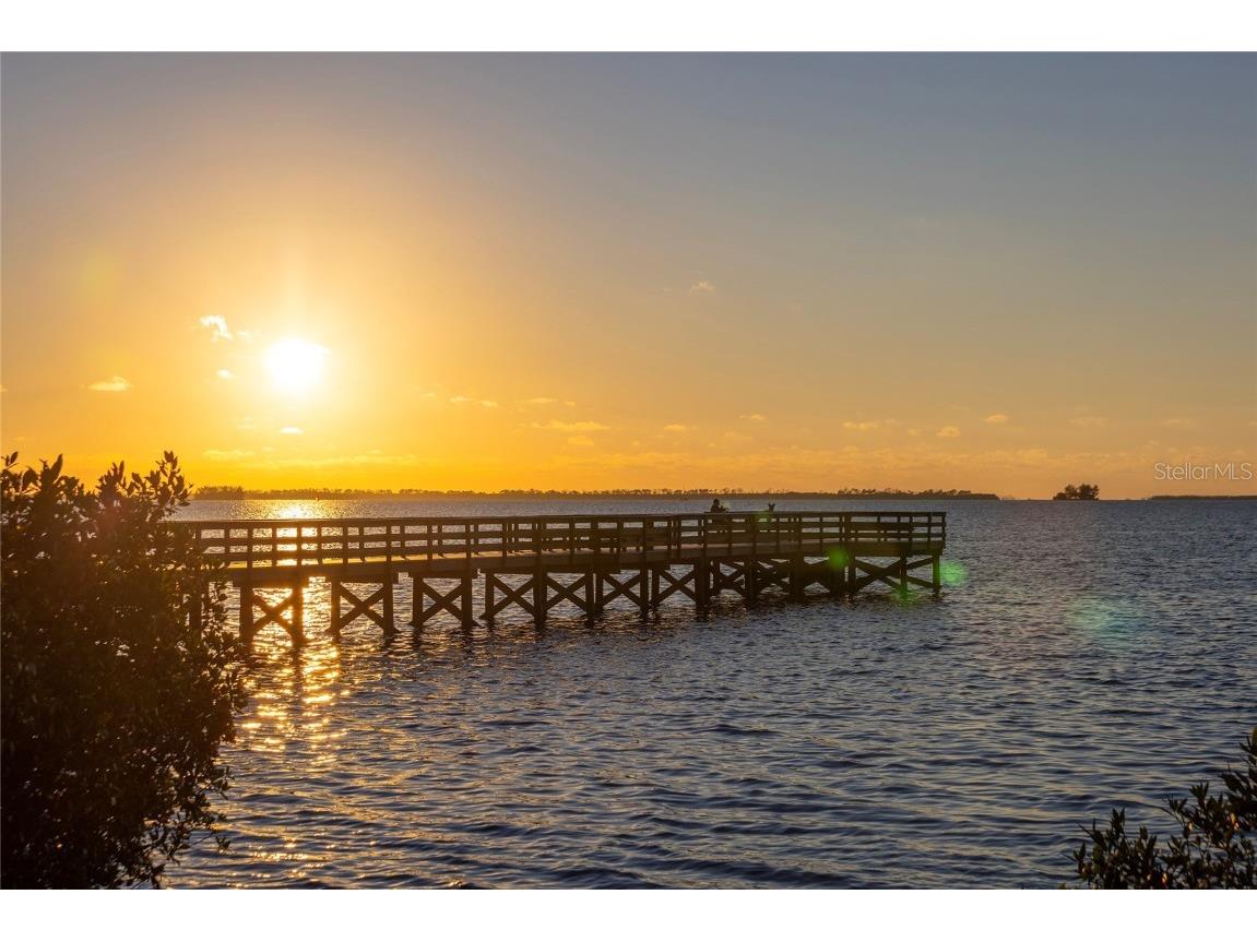 416 Indiana Avenue Crystal Beach FL 34681 TB8455037 image54