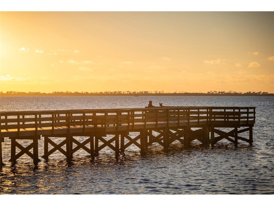 416 Indiana Avenue Crystal Beach FL 34681 TB8455037 image56