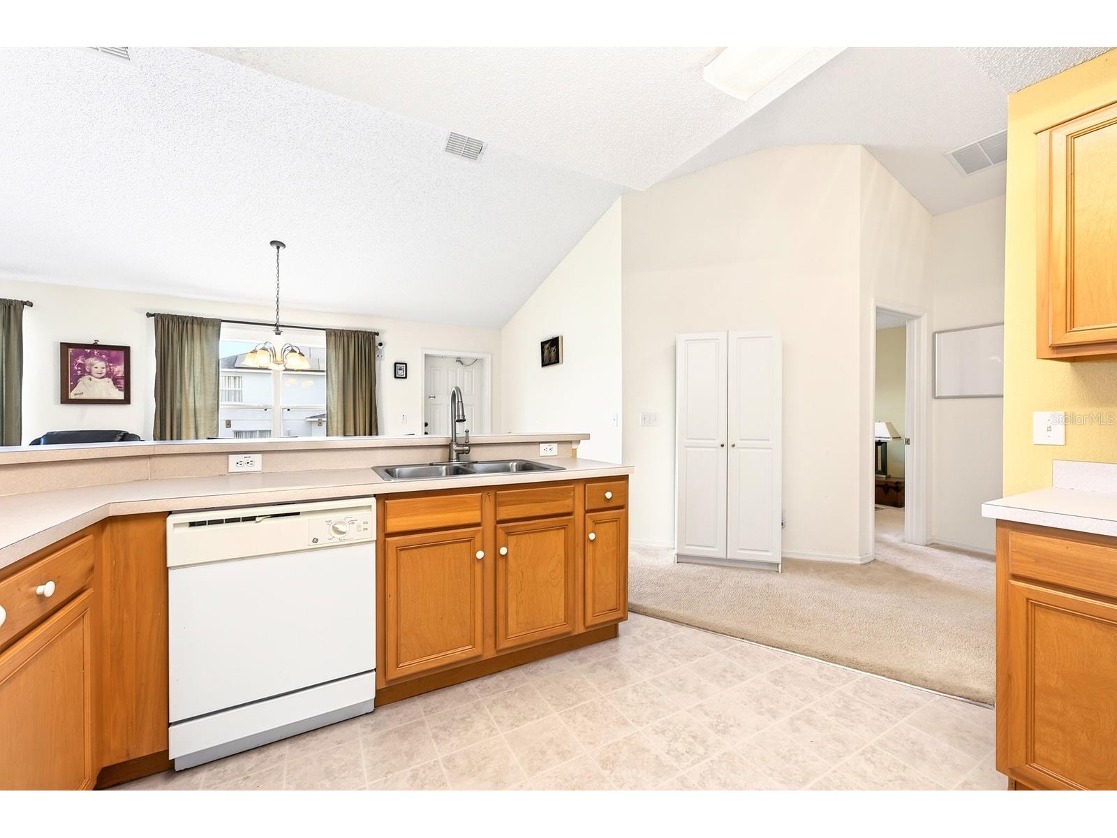 416 Lakeview Road Kissimmee FL 34759 O6399242 image17