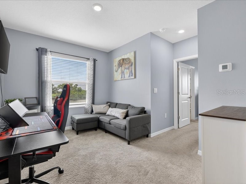 416 Mangrove Shade Circle Apollo Beach FL 33572 TB8512550 image29