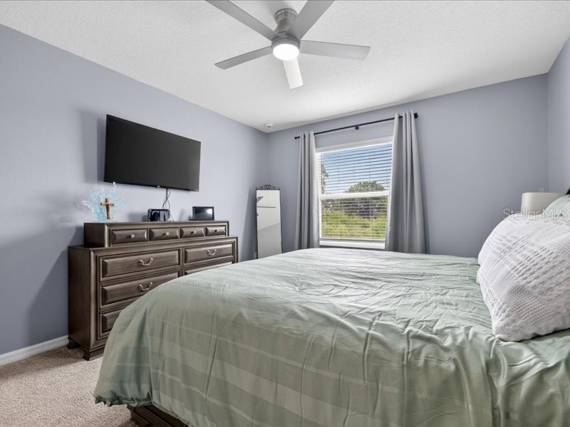 416 Mangrove Shade Circle Apollo Beach FL 33572 TB8512550 image34