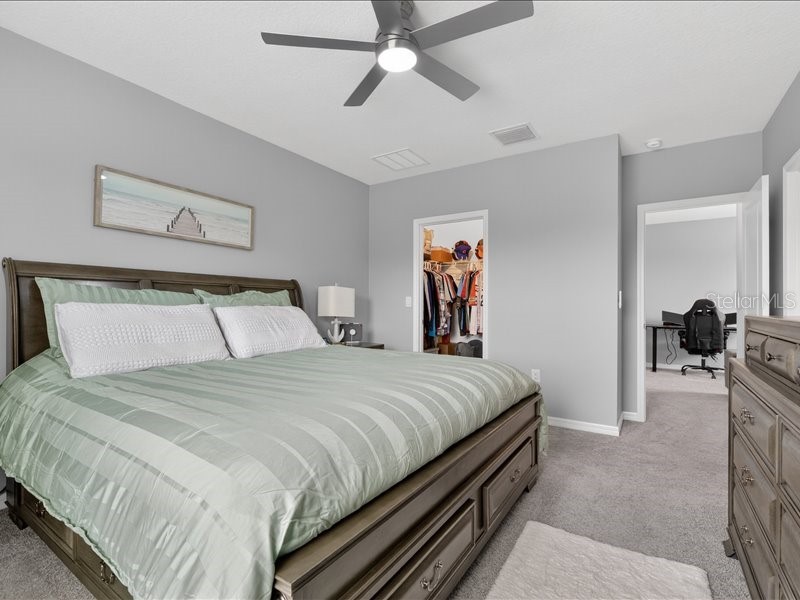 416 Mangrove Shade Circle Apollo Beach FL 33572 TB8512550 image36