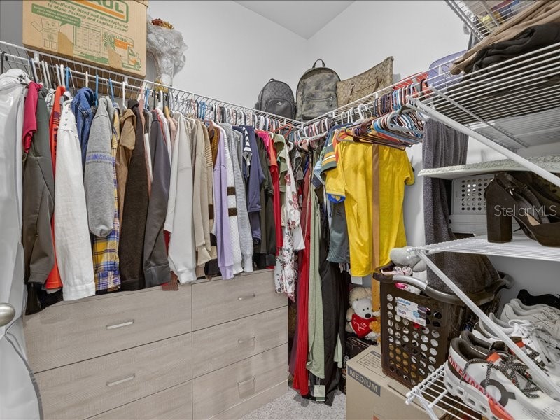 416 Mangrove Shade Circle Apollo Beach FL 33572 TB8512550 image41