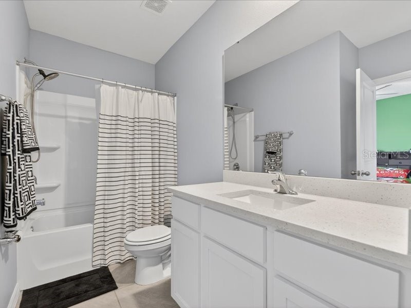 416 Mangrove Shade Circle Apollo Beach FL 33572 TB8512550 image46