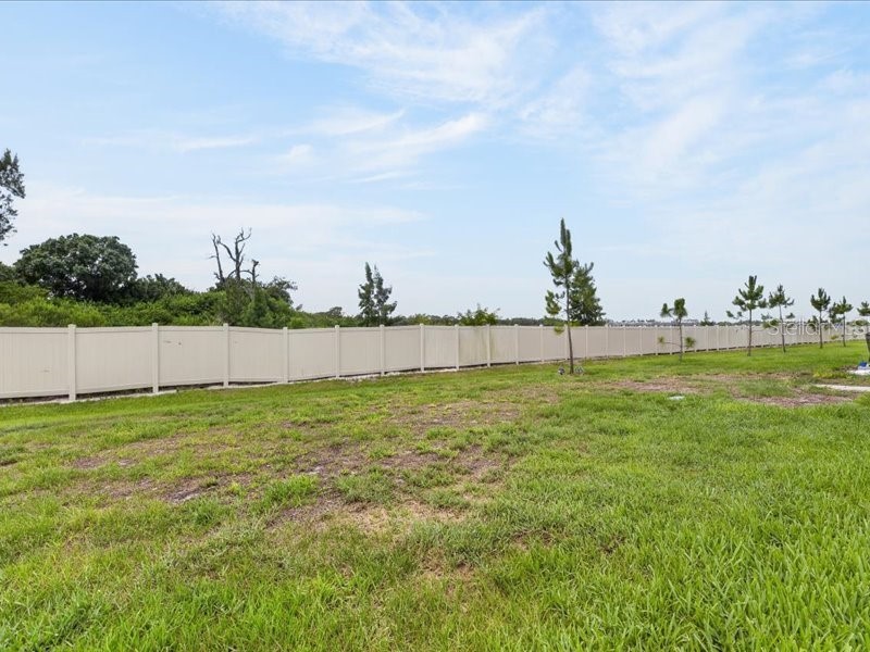 416 Mangrove Shade Circle Apollo Beach FL 33572 TB8512550 image67