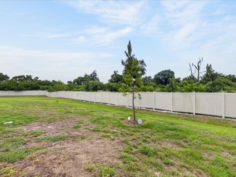 416 Mangrove Shade Circle Apollo Beach FL 33572 TB8512550 image68