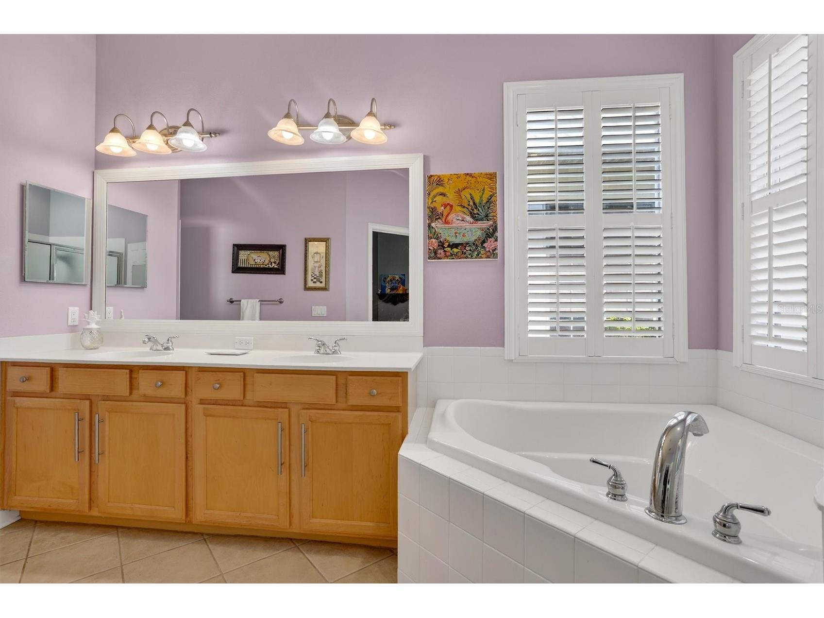 416 Manns Harbor Drive Apollo Beach FL 33572 TB8490028 image22