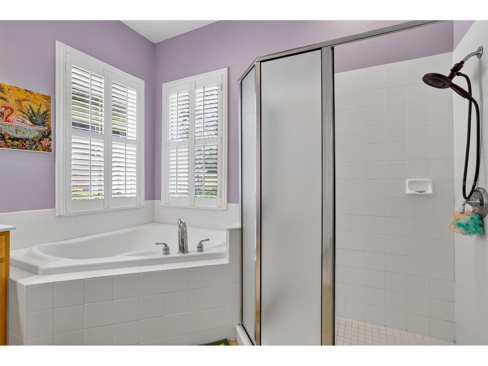 416 Manns Harbor Drive Apollo Beach FL 33572 TB8490028 image23