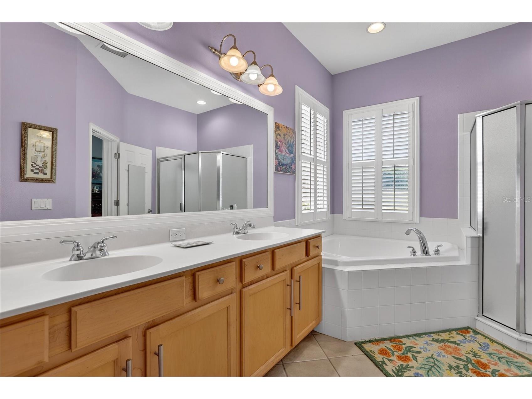 416 Manns Harbor Drive Apollo Beach FL 33572 TB8490028 image24
