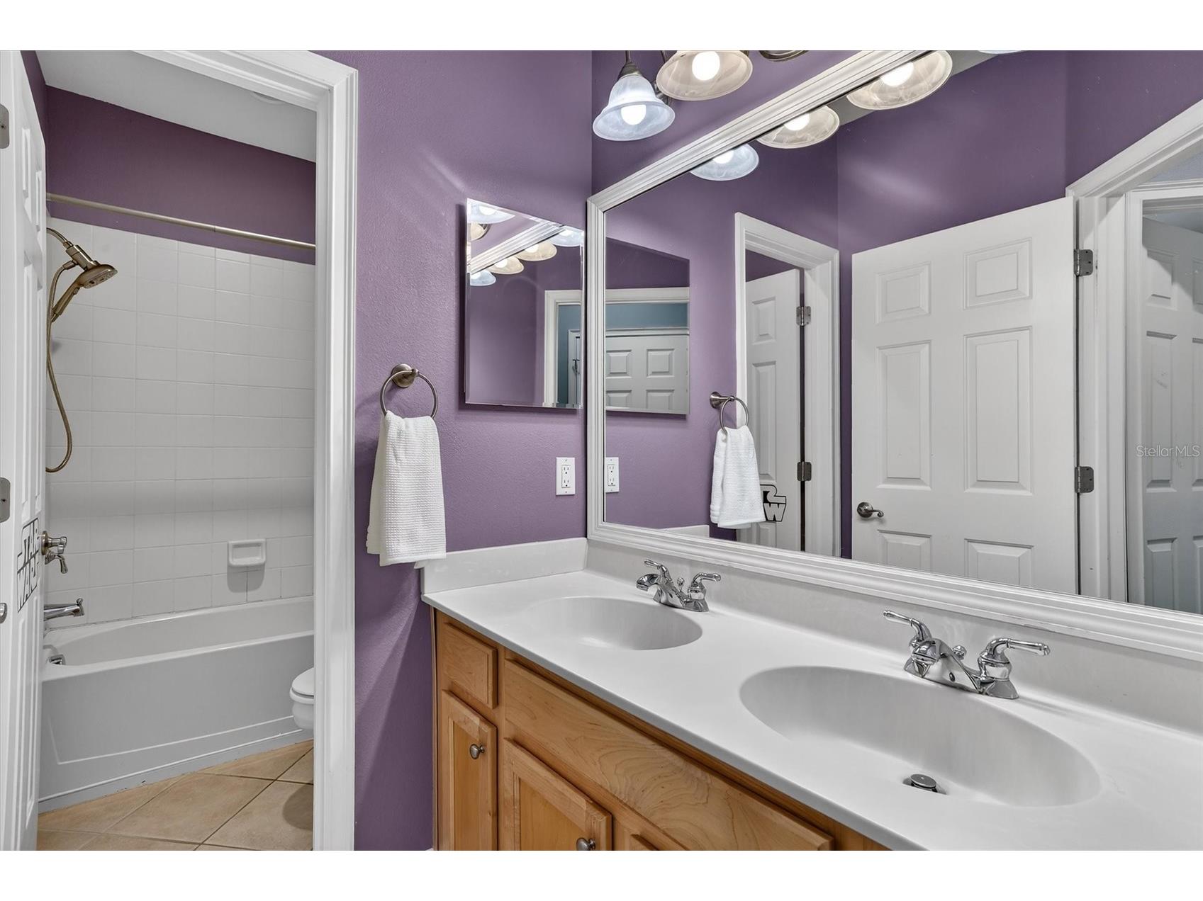 416 Manns Harbor Drive Apollo Beach FL 33572 TB8490028 image25