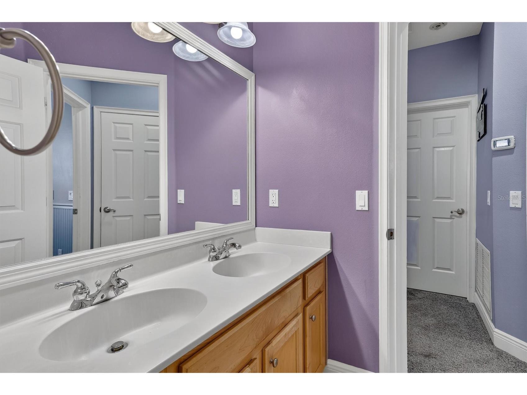 416 Manns Harbor Drive Apollo Beach FL 33572 TB8490028 image33