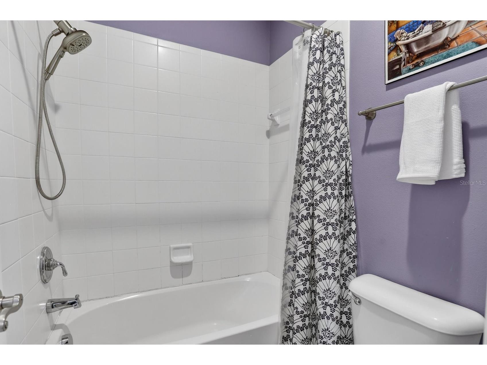 416 Manns Harbor Drive Apollo Beach FL 33572 TB8490028 image34