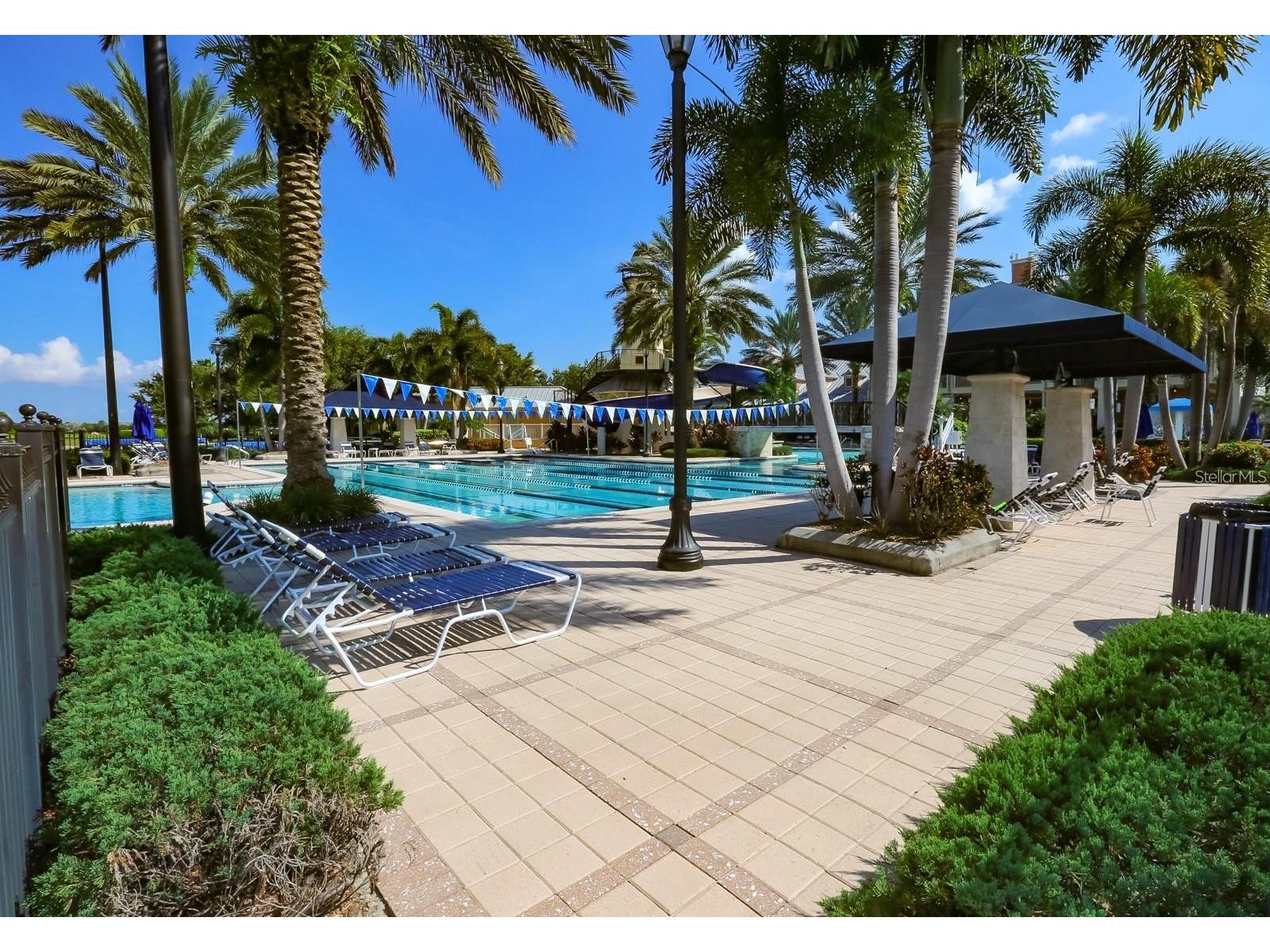 416 Manns Harbor Drive Apollo Beach FL 33572 TB8490028 image44