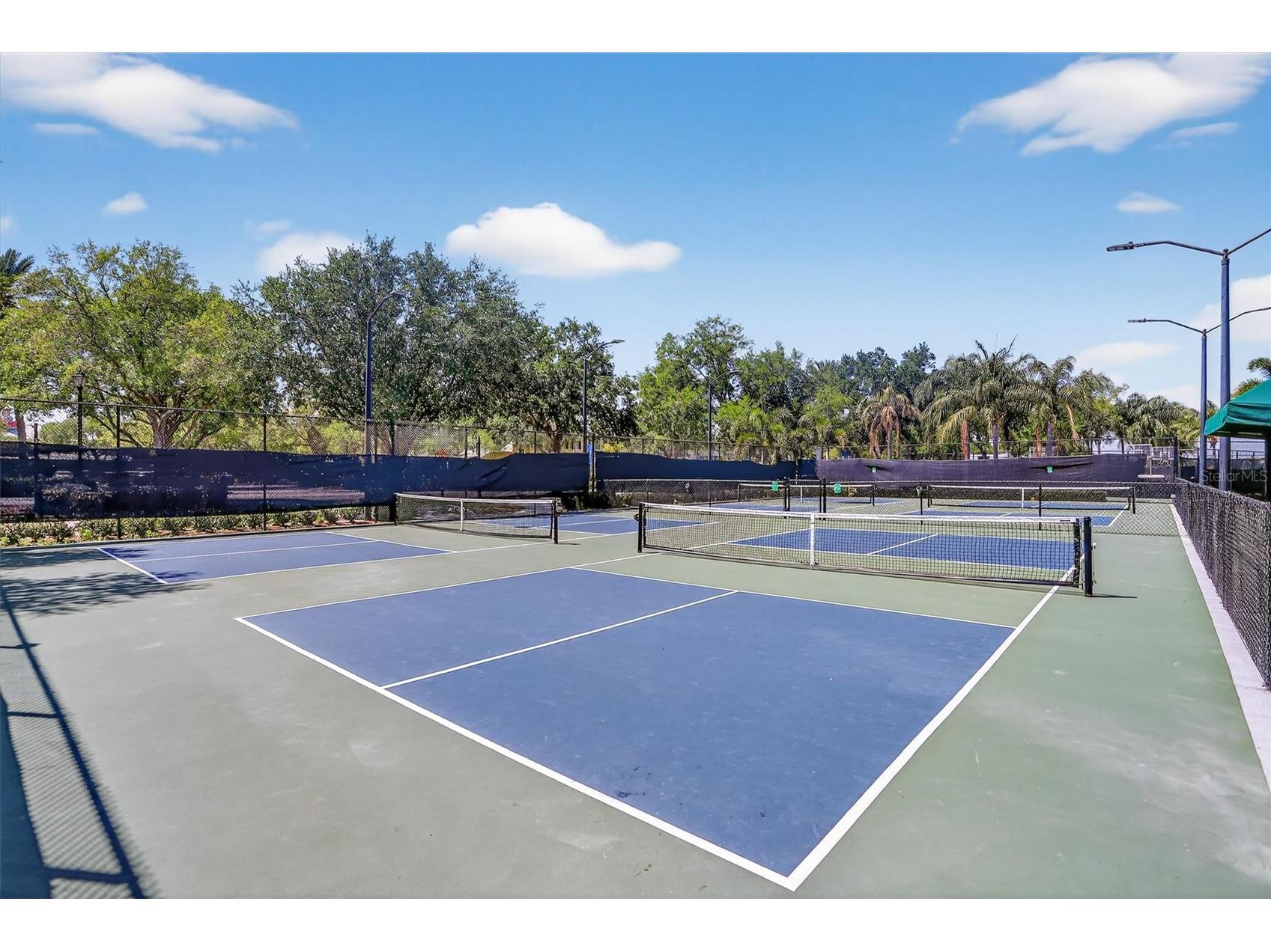 416 Manns Harbor Drive Apollo Beach FL 33572 TB8490028 image49