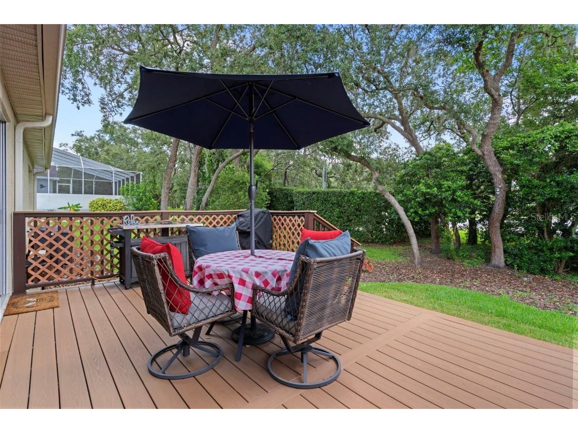 416 Mistwood Court Spring Hill FL 34609 W7877837 image43