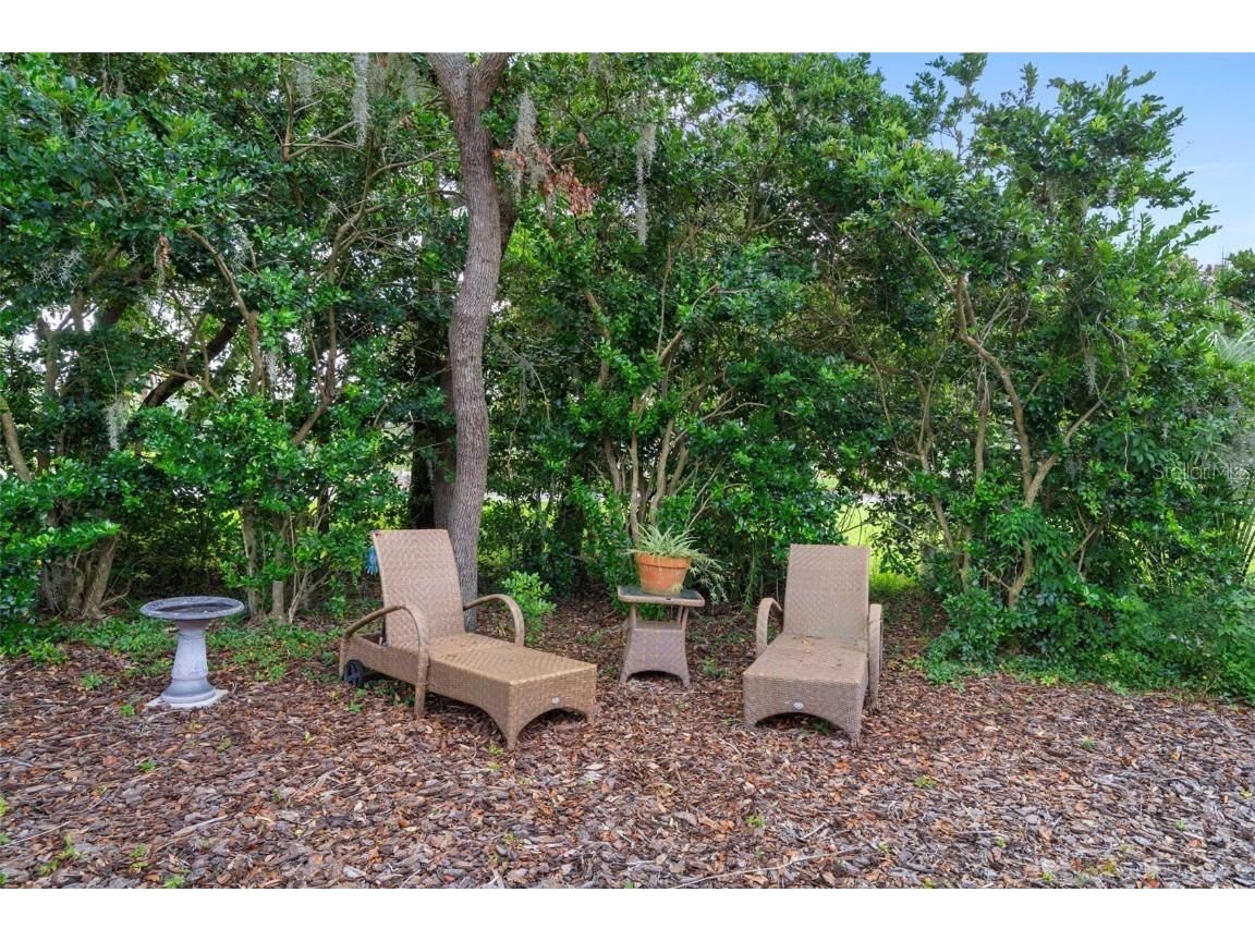 416 Mistwood Court Spring Hill FL 34609 W7877837 image44