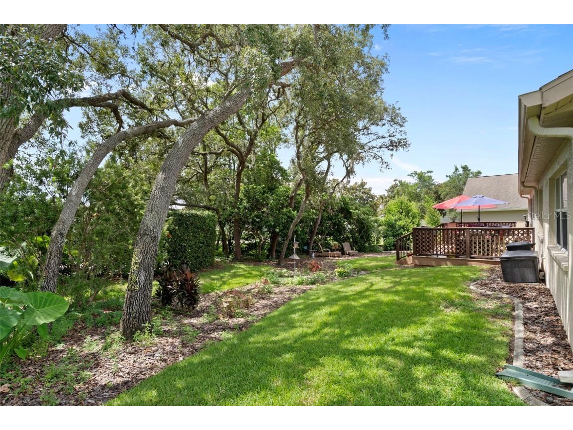 416 Mistwood Court Spring Hill FL 34609 W7877837 image48