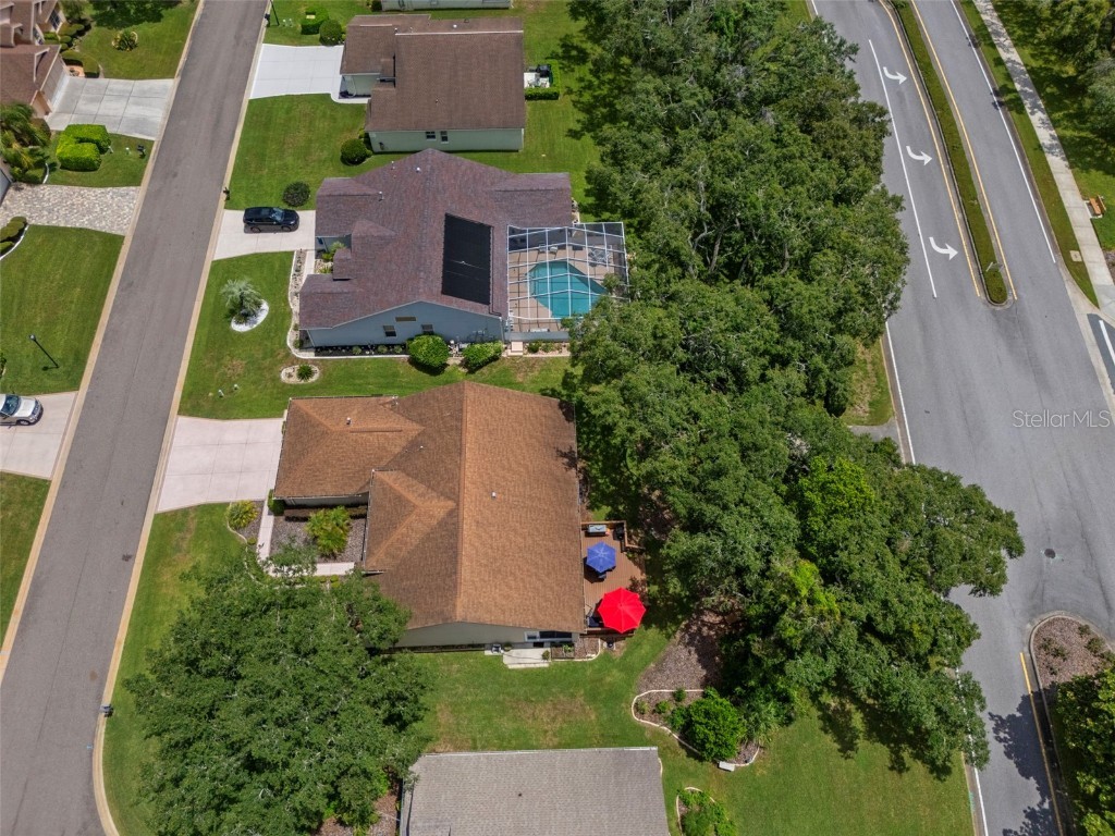 416 Mistwood Court Spring Hill FL 34609 W7877837 image51