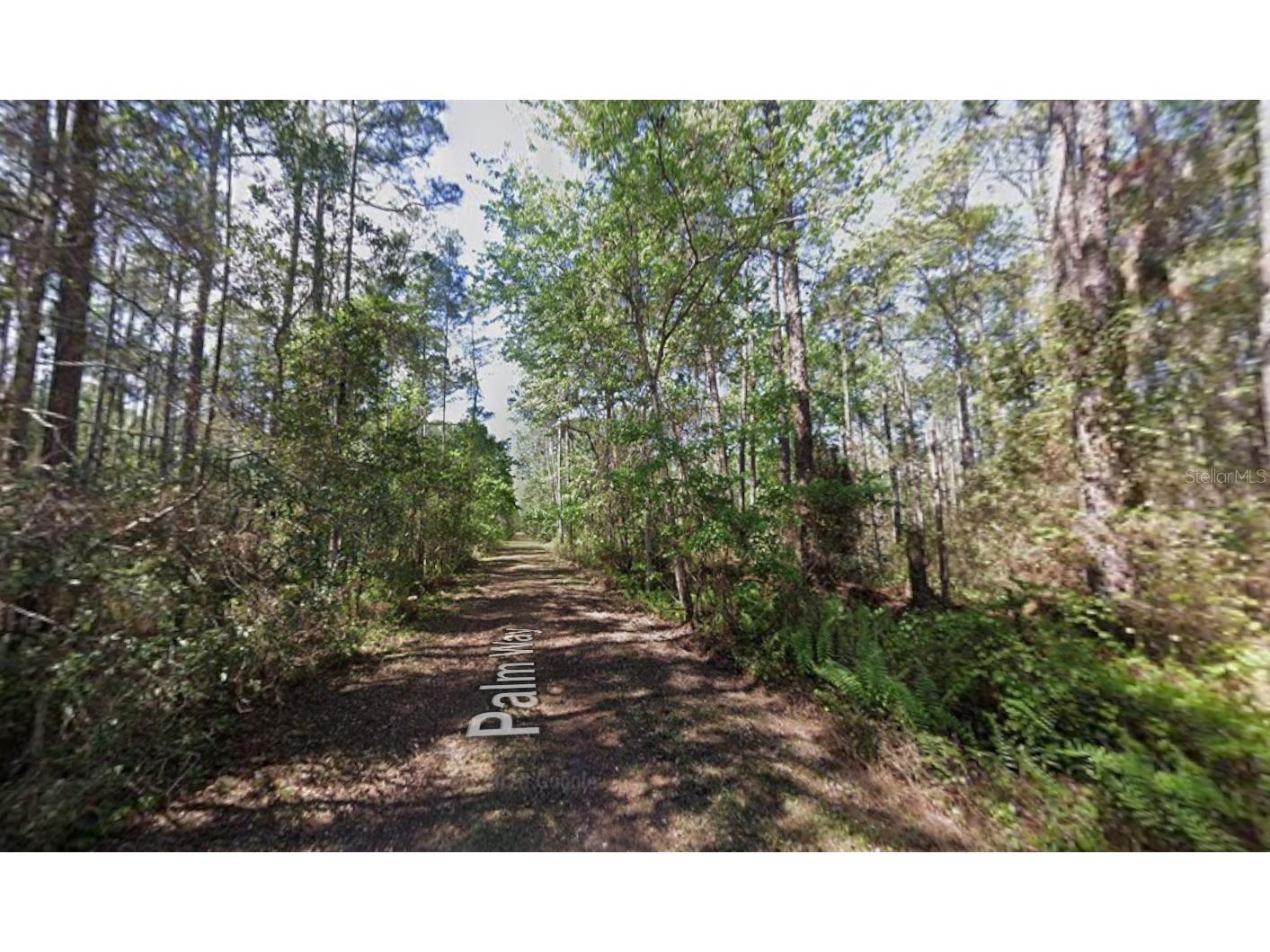 416 Palm Way Georgetown FL 32139 K4903330 image2