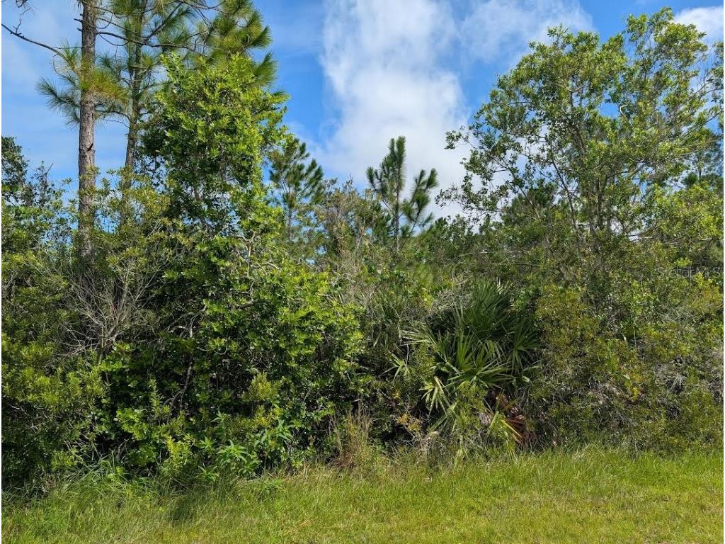 416 Park Avenue Indian Lake Estates FL 33855 - LAKE WALK-IN-WATER TB8421969 image4