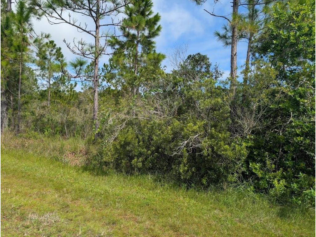 416 Park Avenue Indian Lake Estates FL 33855 - LAKE WALK-IN-WATER TB8421969 image6