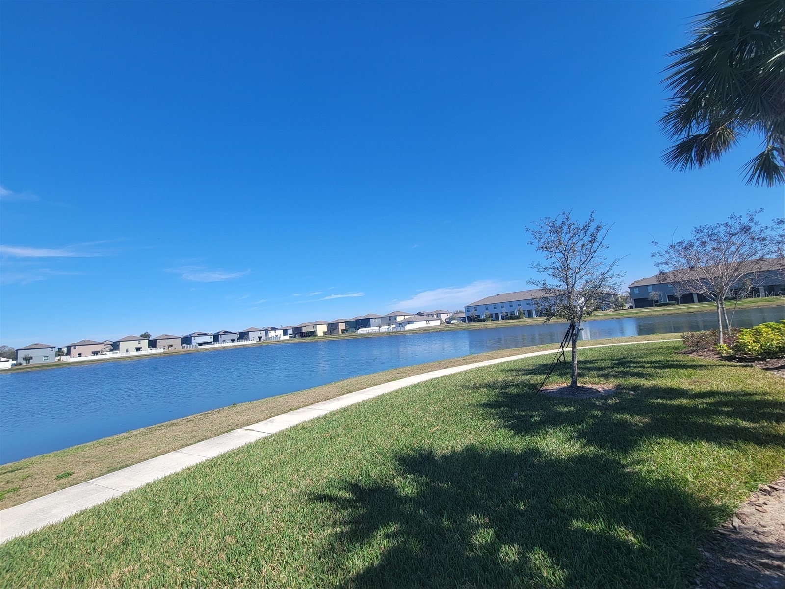 416 Royal Empress Drive Ruskin FL 33570 TB8481655 image59