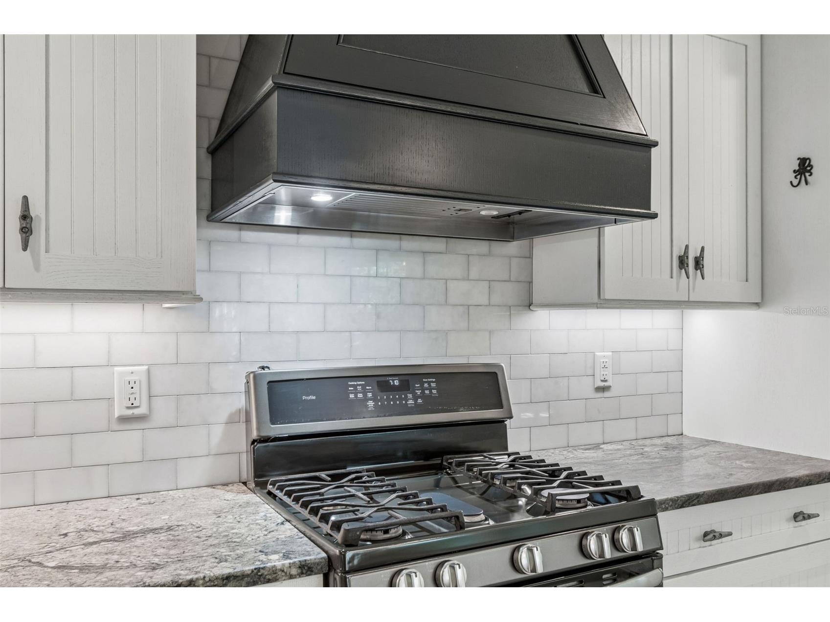 416 Tennessee Avenue Crystal Beach FL 34681 TB8515161 image23