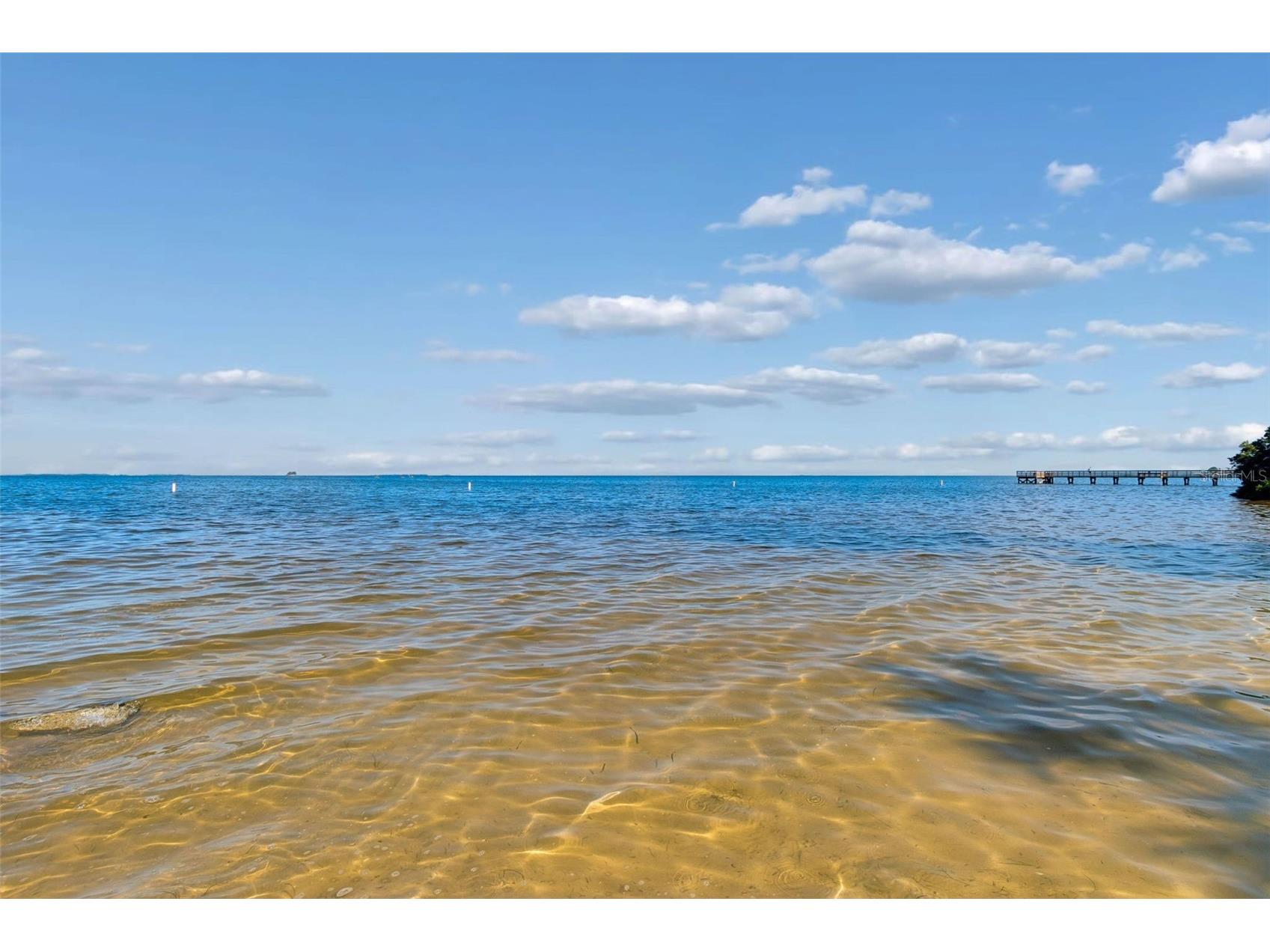 416 Tennessee Avenue Crystal Beach FL 34681 TB8515161 image73