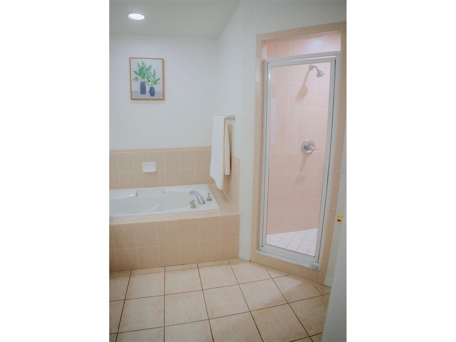 416 Vista Loop Davenport FL 33897 S5147371 image52