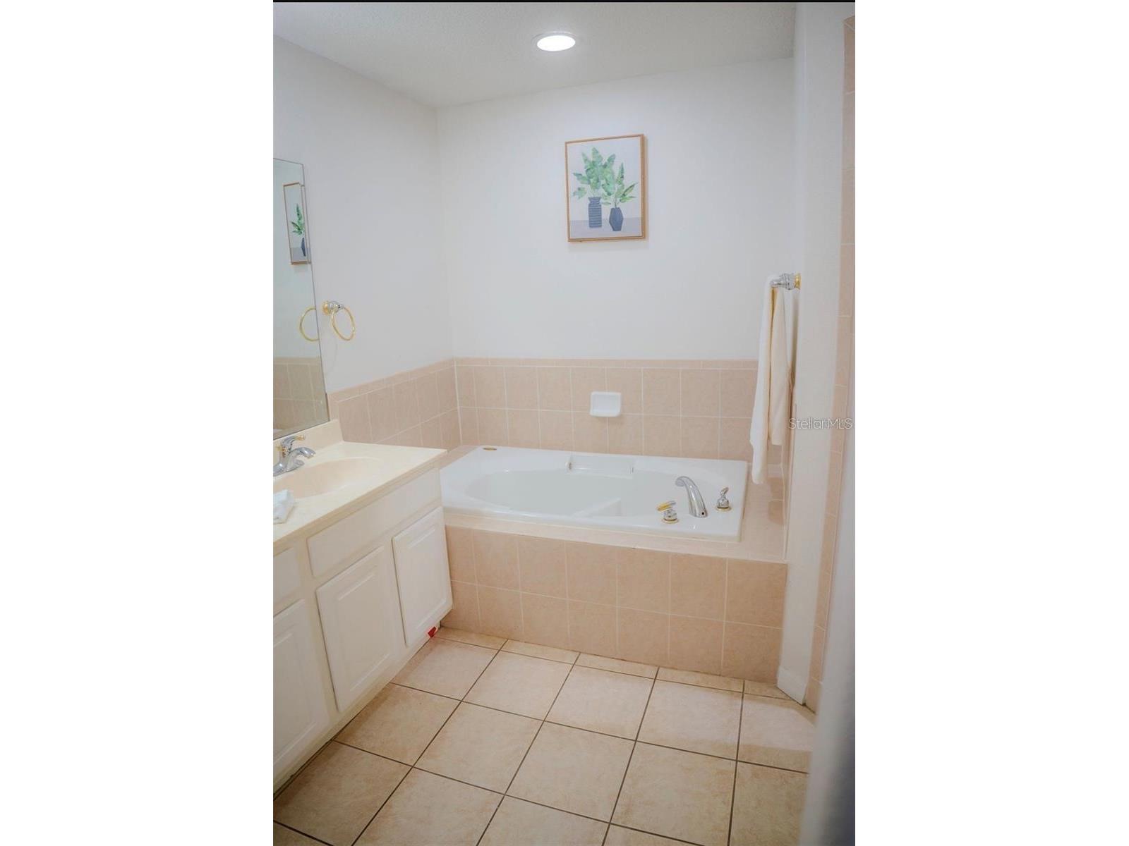 416 Vista Loop Davenport FL 33897 S5147371 image53