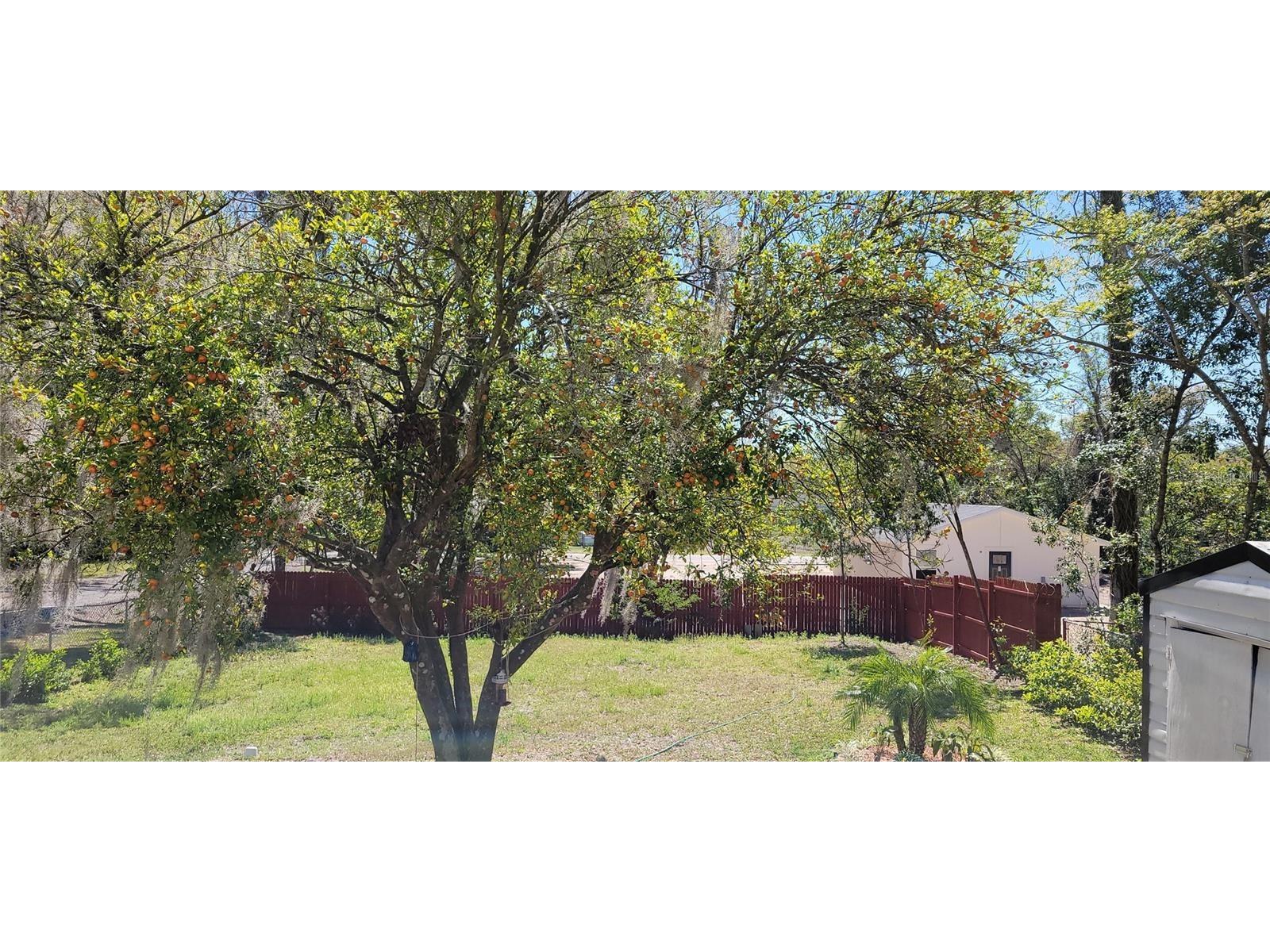 416 W Howry Deland FL 32720 V4947506 image32